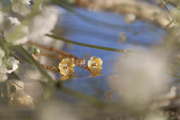 Daisy Chains