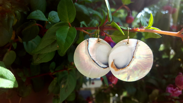 Nautilus Shell and gold dangle earrings by Washington based jewelry designer Heather Johnson.