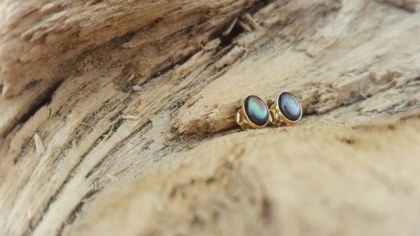black Tahitian shell set in 14k yellow gold earrings